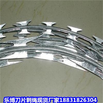 甘肅鍍鋅刺繩廠家 金昌5公斤圍墻學(xué)校小區(qū)防盜網(wǎng)