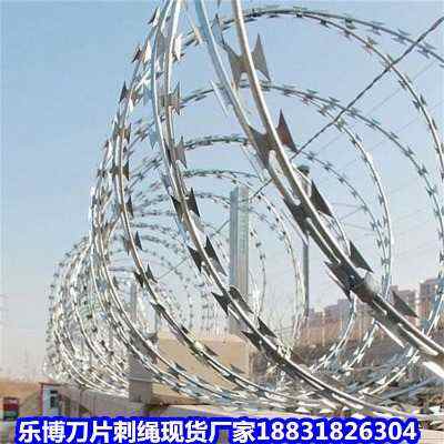 �ӱ�����\��Ƭ���K�F؛�S���㽭���W��������Ҧ��ȫ���o�W