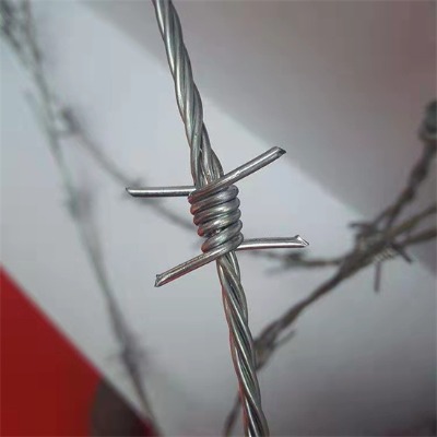 西安鍍鋅刺繩廠家10公斤綠皮刺繩樂博供應