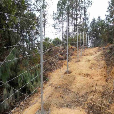 ̫ԭ��\�F��޼�S��˷�ݸ��x�o�ھW�Ȫ����������