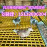 �Ϸʲ���䓘����Ӱ���ϴ܇���W���S�ҹ���