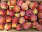 ����Ｇ���Ӯa�؃r�񣬰����Z���ӻ������l�r��