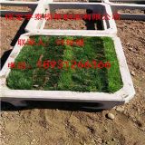 ����o��ģ��,ˮ�����o��ģ��,����o���ģ��