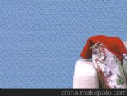 �S���Ļ��y �������ڵĲ��w�S�ڲ�