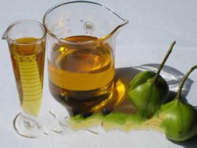 �����㽭����ͩ�͡�����ͩ��������ͩ��