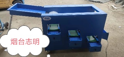 煙臺志明牌自動化藍莓調速滾筒選果機