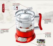 ���l�Fُ�f�����B����_�B����21A-(�D)