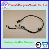 Ħ��܇����ϴ�C(j��)����ע�ܼӹ�