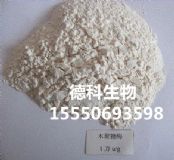 ���l(f��)��(y��u)�|(zh��)ľ����ø �������ø