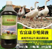 禽用益生菌活菌100只雞成本多少