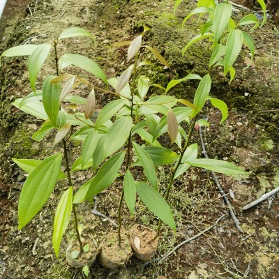 �㽭������ �㽭���� �߶�60�����㽭������