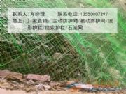 ����(d��ng)�W(w��ng)-�F���F�(y��ng)����(d��ng)���o(h��)�W(w��ng)-���ԾW(w��ng)�S��