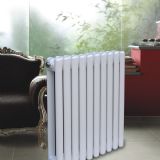 ����ɢ������ʽů��Ƭ�Ҿ���