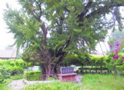 ���ݗ��ֹ�ˇƷ�S�Ҍ�(zhu��n)�T(m��n)���Ʒ���ˮ���Ř�(sh��)