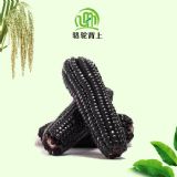 ���l(f��)��(y��u)�|(zh��)�s�Z������