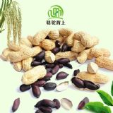 �I�B�����s�Z�ڻ���