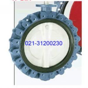 ����̩��TYCO KEYSTONE F17��ڏ����y