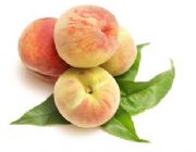 ������M�ڈ��P|�̙z|���P������˾