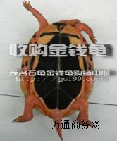 ���l������ʯ���X������