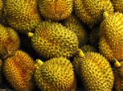 泰國進(jìn)口榴蓮深圳報關(guān)代理