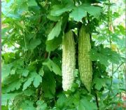 �����ȡ��