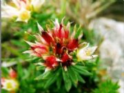 �ߴ�����ȡ��