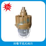 bad83防爆無(wú)極燈 150w防爆無(wú)極燈