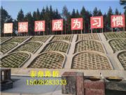 �����Ԯa���N���ٹ����o���ģ��/Ʒ�N�Rȫ