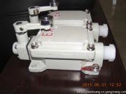 ��������˼blx51ϵ�з����г��_�P