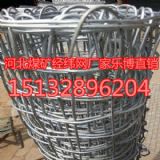 ����ú�V�����W�ຣ���½��پW�S��ֱ�N