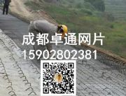 �ṩ����ɽ�����WƬ���ӹ����ƏS��