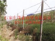 ���F�z�o�ھW(w��ng)(�D)