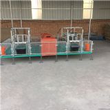 ��(f��)�ϰ�ĸ�i�a(ch��n)��