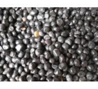 �ĹڷN�Ӄr��ɽ���ĹڷN�����lֱ�N