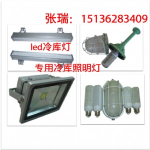 �����������led��