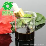 ��ˎ����-�n�g��