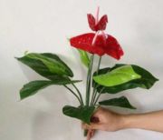 �S�ҵ̓r���N����t�ư����ڒ�