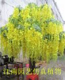 �S�Ҍ��Iӆ�Ʒ��氢���՘�