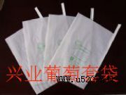 葡萄套袋,批發各種葡萄套袋,葡萄套袋(圖)
