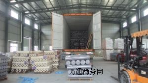 ���������PE��ˮ����Ĥ