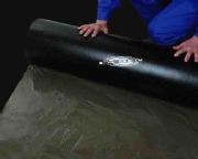 ̼�w�S��(�D)