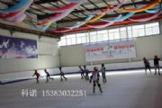 供應(yīng)中聚進(jìn)口仿真冰冰場出租出售