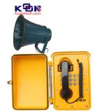 VOIP�V���Ԓ�C��IP���v�V���Ԓ�C�����ጦ�vIP�Ԓ�C