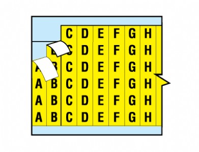 ؐ�Ͼ����˺�