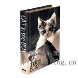 ���b���Ű��O(sh��)Ӌ(j��)ӡˢ������ӡˢ