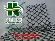 安陽三維土工網南陽護坡土工網/排水網