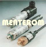 �Չ��C��������������܇����������