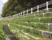 ���������A��ʽ���B���^�o��