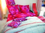 2012���(gu��)���m�˸��Ҽ�չ(�D)