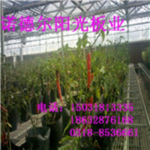 �S��ֱ�N�p�Ӱ�� ���Ҵ���ꖹ�� �|��ʮ��